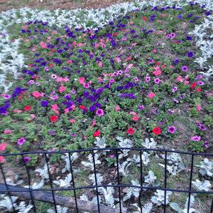 Meet your Posher, Brett valerie